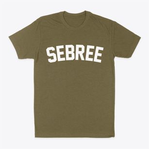 Sebree Kentucky Classic Curve Classic Dad T-Shirt