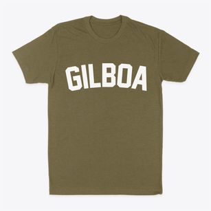 Gilboa New York Classic Curve Classic Dad T-Shirt