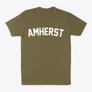 Amherst Maine Classic Curve Classic Dad T-Shirt