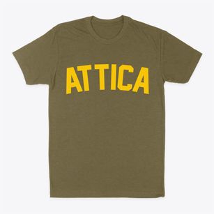 Attica New York Classic Curve Classic Dad T-Shirt