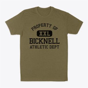 Bicknell Indiana Athletic Dept Classic Dad T-Shirt