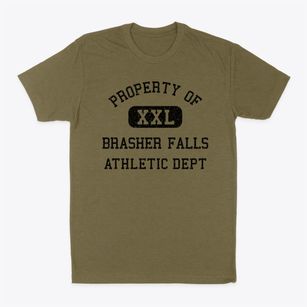 Brasher Falls New York Athletic Dept Classic Dad T-Shirt