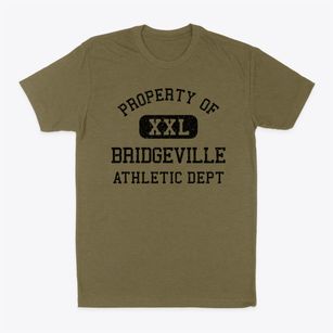Bridgeville New Jersey Athletic Dept Classic Dad T-Shirt