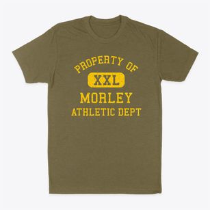 Morley Michigan Athletic Dept Classic Dad T-Shirt