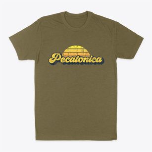 Pecatonica Illinois Sublime Sunset Classic Dad T-Shirt