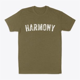 Harmony Minnesota Timeless Retro Classic Dad T-Shirt