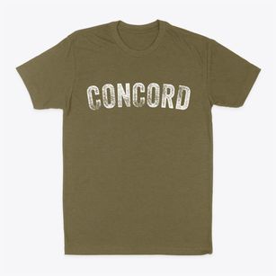Concord Illinois Timeless Retro Classic Dad T-Shirt