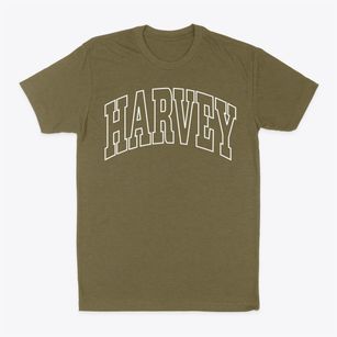 Harvey Illinois Trendy Block Classic Dad T-Shirt