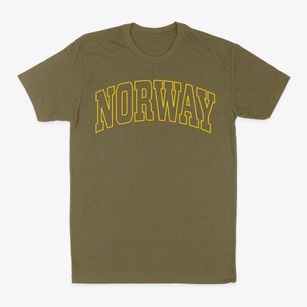 Norway New York Trendy Block Classic Dad T-Shirt
