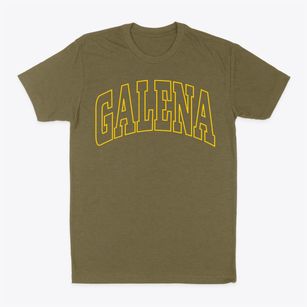Galena Ohio Trendy Block Classic Dad T-Shirt