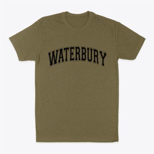 Waterbury Vermont Varsity Classic Dad T-Shirt