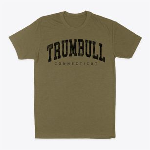 Trumbull Connecticut Urban Vibe Classic Dad T-Shirt
