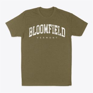 Bloomfield Vermont Urban Vibe Classic Dad T-Shirt