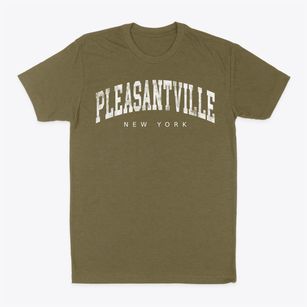 Pleasantville New York Urban Vibe Classic Dad T-Shirt