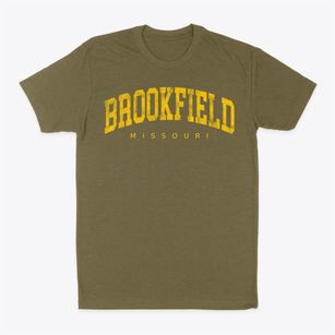 Brookfield Missouri Urban Vibe Classic Dad T-Shirt