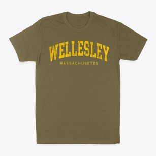 Wellesley Massachusetts Urban Vibe Classic Dad T-Shirt