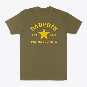 Dauphin Pennsylvania Star Classic Dad T-Shirt