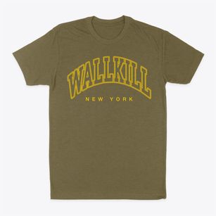 Wallkill New York Inline Classic Dad T-Shirt