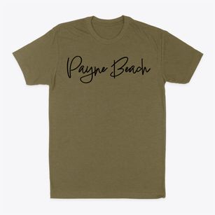 Payne Beach New York Freestyle Classic Dad T-Shirt