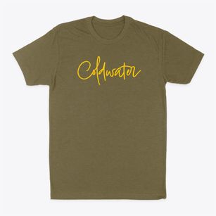 Coldwater Michigan Freestyle Classic Dad T-Shirt