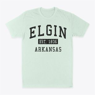 Elgin Arkansas Classic Established Classic Dad T-Shirt