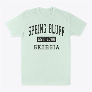 Spring Bluff Georgia Classic Established Classic Dad T-Shirt