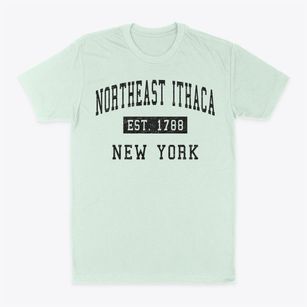Northeast Ithaca New York Classic Established Classic Dad T-Shirt