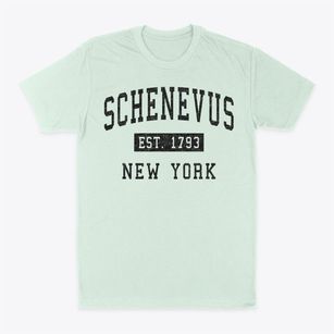 Schenevus New York Classic Established Classic Dad T-Shirt