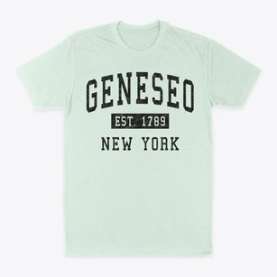 Geneseo New York Classic Established Classic Dad T-Shirt