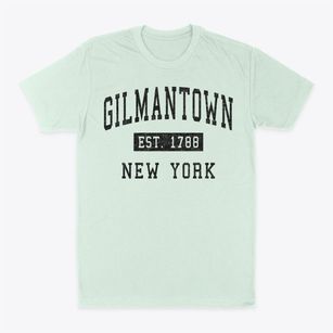 Gilmantown New York Classic Established Classic Dad T-Shirt