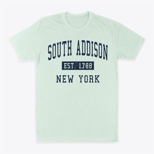 South Addison New York Classic Established Classic Dad T-Shirt