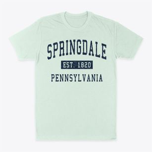 Springdale Pennsylvania Classic Established Classic Dad T-Shirt