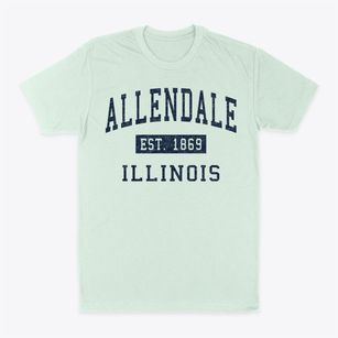 Allendale Illinois Classic Established Classic Dad T-Shirt