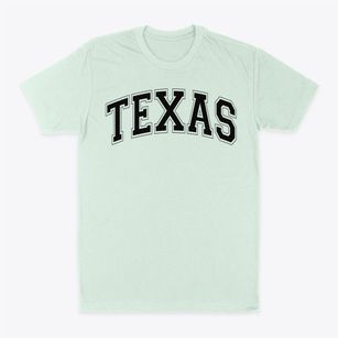 Texas Christian School Varsity Arch Classic Dad T-Shirt