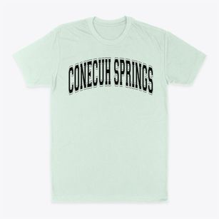 Conecuh Springs Christian School Varsity Arch Classic Dad T-Shirt