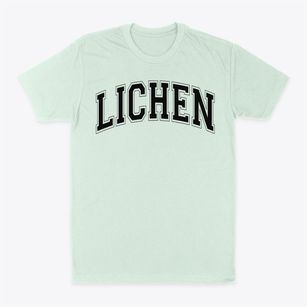 Lichen Elementary School Varsity Arch Classic Dad T-Shirt