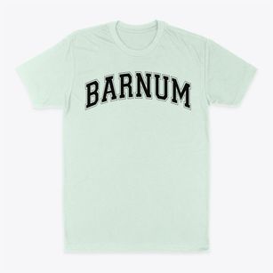 Barnum Elementary School Varsity Arch Classic Dad T-Shirt
