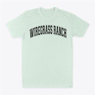 Wiregrass Ranch High School Varsity Arch Classic Dad T-Shirt