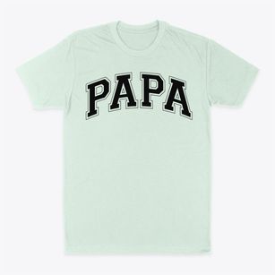 Phoenix Academy Of Performing Arts Varsity Arch Classic Dad T-Shirt