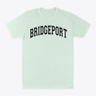 Bridgeport Baptist Academy Varsity Arch Classic Dad T-Shirt