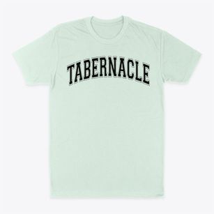 Tabernacle Christian Academy Varsity Arch Classic Dad T-Shirt