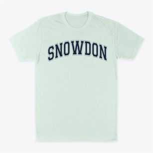 Snowdon Elementary School Varsity Arch Classic Dad T-Shirt