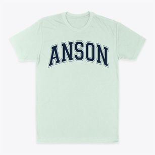 Anson Elementary School Varsity Arch Classic Dad T-Shirt