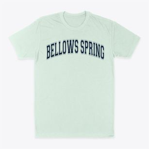 Bellows Spring Elementary School Varsity Arch Classic Dad T-Shirt