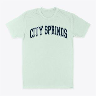 City Springs Elementary School Varsity Arch Classic Dad T-Shirt