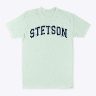 Stetson Charter School Varsity Arch Classic Dad T-Shirt