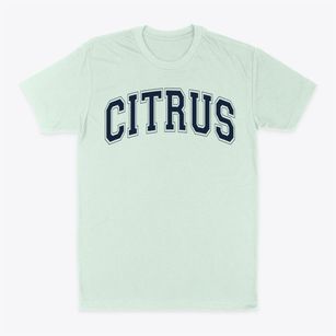 Citrus Elementary School Varsity Arch Classic Dad T-Shirt