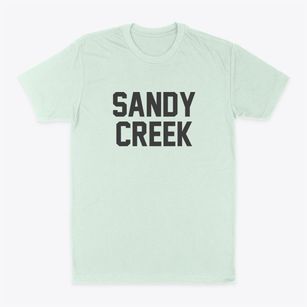 Sandy Creek New York Classic Block Classic Dad T-Shirt