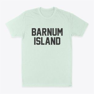 Barnum Island New York Classic Block Classic Dad T-Shirt