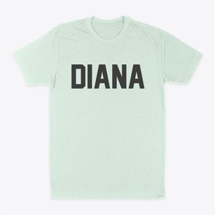 Diana New York Classic Block Classic Dad T-Shirt